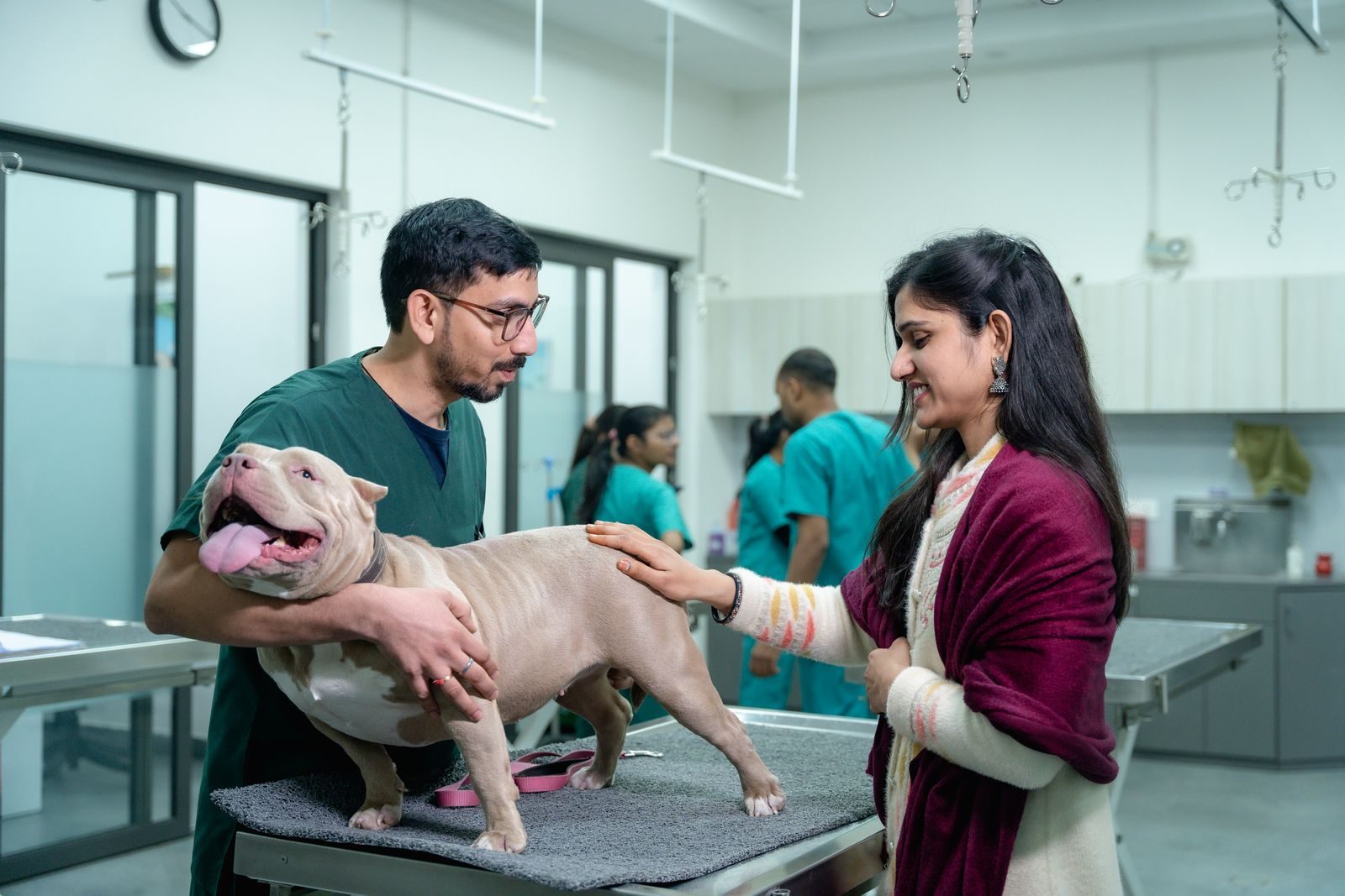 Veterinarian examining a dog on the table while its owner stands alongside in a busy clinic